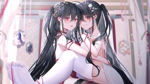 姐妹花