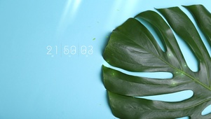 简约绿植ins风格桌面