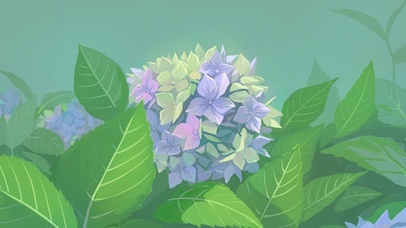 治愈护眼夏日绣球