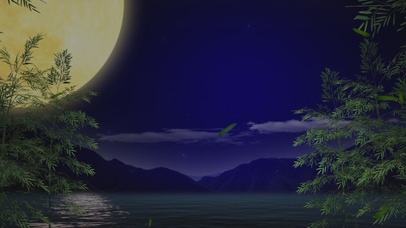 竹林圆月(无限循环)