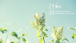 治愈清新鲜花（每日问候格言）