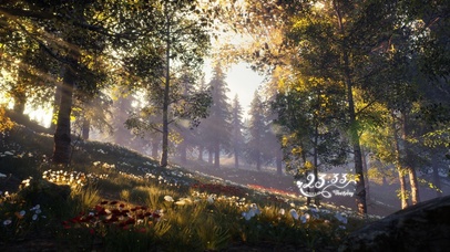 4K唯美阳光森林