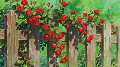 蔷薇满篱，好运自来