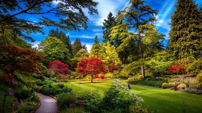 唯美治愈春天公园的风景