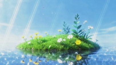 晴光下的浮水花汀