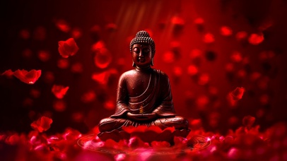 佛系治愈 高清4K壁纸