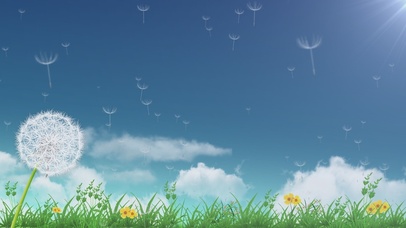 清新青草蒲公英飞舞