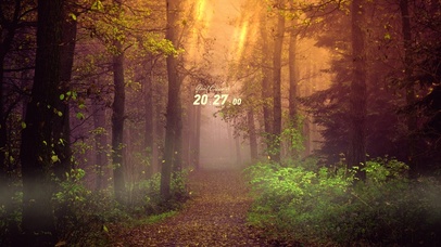 幽静的树林小路