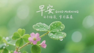 早安日子恬淡岁月温柔