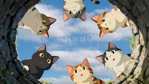好奇的猫咪