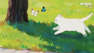 小白猫戏蝶