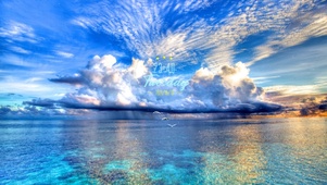 海天一色