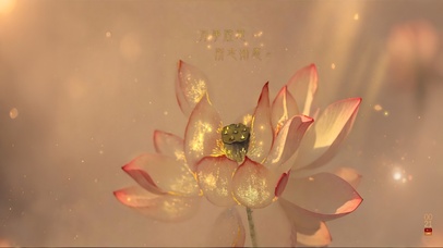 4K开光十瓣转运金莲 所念如愿