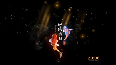 好运来 锦鲤附体