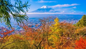 4K丶富士山秋