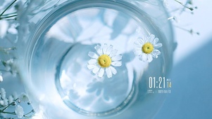 唯美水中花
