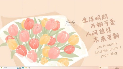 清新治愈郁金香