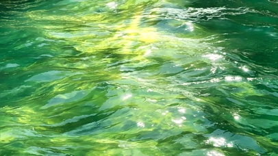 静谧湖水～绿波荡漾