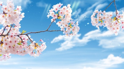 4k 唯美蓝天下的樱花