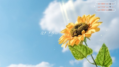 清新夏日向日葵