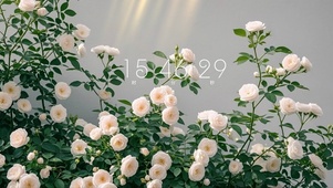 唯美治愈意境壁纸