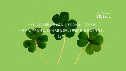 小清新四叶草桌面