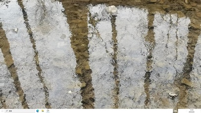 水中倒影  电脑版