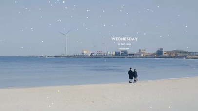 浪漫海岸