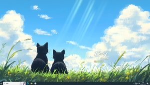 治愈 黑猫