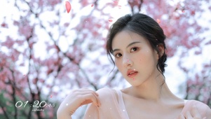 樱花树下的美女