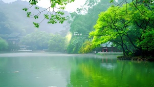 绿色唯美湖面