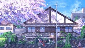 夏樱之雨