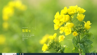 清新油菜花主题