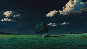 星野夜泊