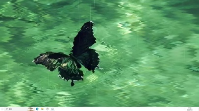 波浪蝴蝶  主题