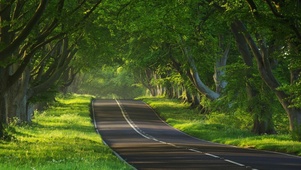 雨中公路