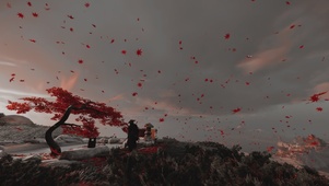 对马岛温泉枫叶树