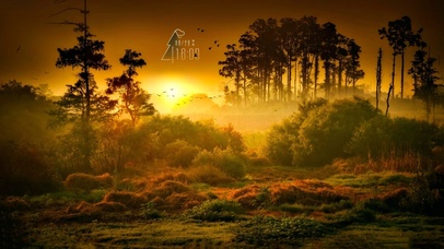 洒在大地上的阳光