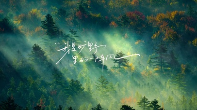 我是旷野里的一阵风