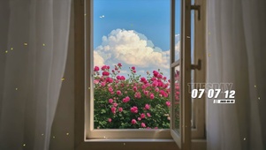 护眼花景