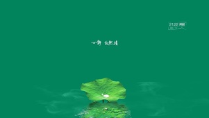 心静  荷叶