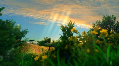 4k 治愈唯美日落黄昏