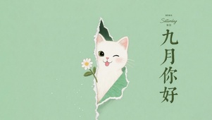 清新小猫
