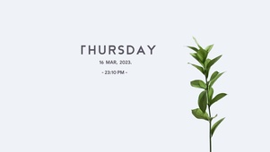 极简绿植桌面