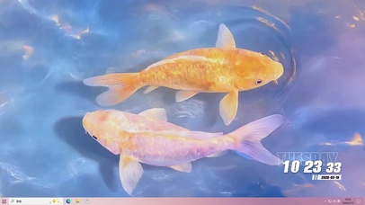 简约可爱小鱼桌面主题