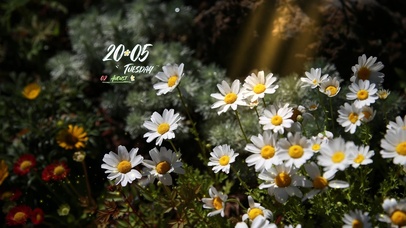 4k高清治愈小清新系列