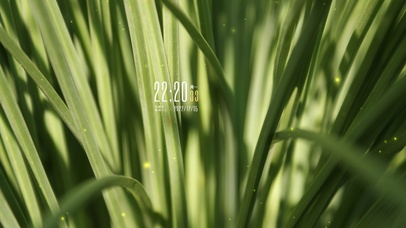 4k清新绿植桌面