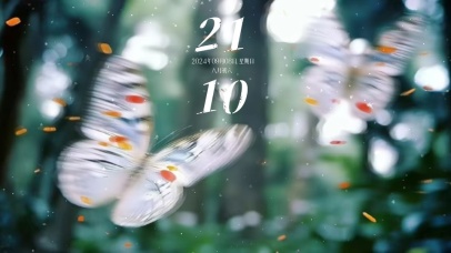 蝴蝶飞舞  壁纸