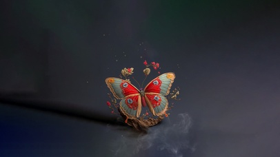 蝴蝶 彩蝶 4K 唯美