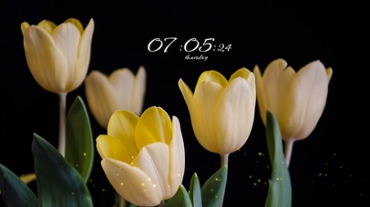 4k高清简约小清新系列